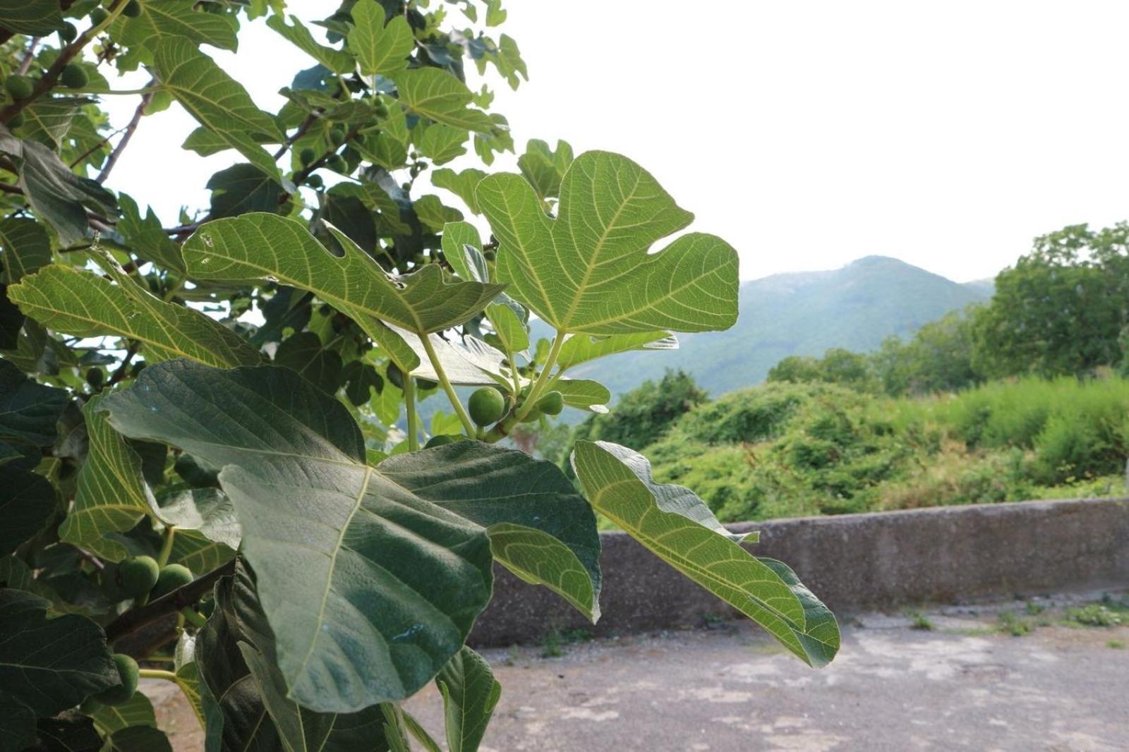 Vila Il Balcone Delle Dee Agerola Exteriér fotografie