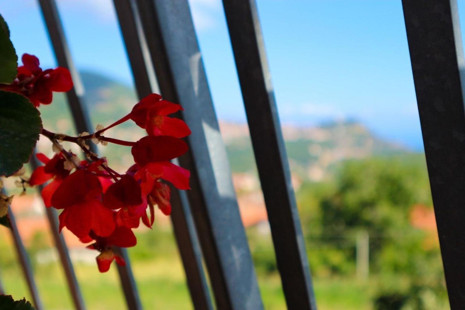 Vila Il Balcone Delle Dee Agerola Exteriér fotografie